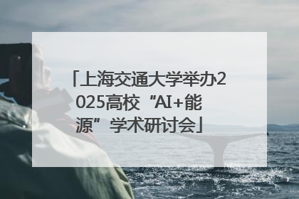 上海交通大学举办2025高校“AI+能源”学术研讨会