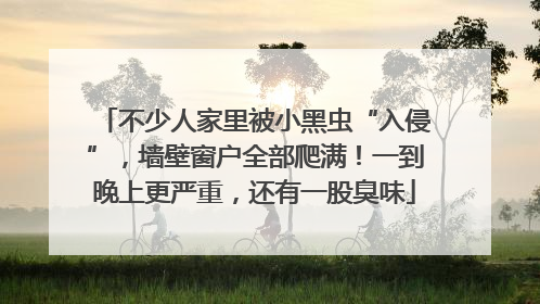 不少人家里被小黑虫“入侵”，墙壁窗户全部爬满！一到晚上更严重，还有一股臭味