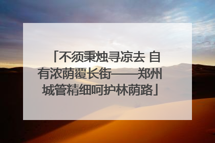 不须秉烛寻凉去 自有浓荫覆长街——郑州城管精细呵护林荫路