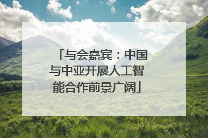 与会嘉宾：中国与中亚开展人工智能合作前景广阔