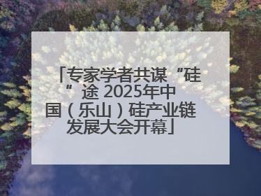 专家学者共谋“硅”途 2025年中国（乐山）硅产业链发展大会开幕