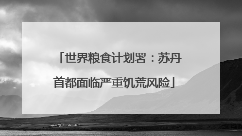 世界粮食计划署：苏丹首都面临严重饥荒风险