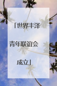 世界丰泽青年联谊会成立