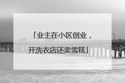 业主在小区创业，开洗衣店还卖雪糕