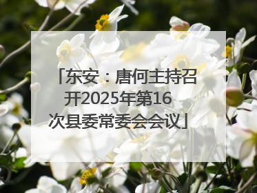 东安：唐何主持召开2025年第16次县委常委会会议