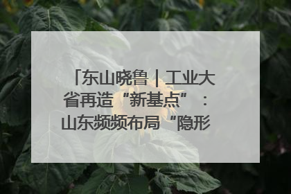 东山晓鲁｜工业大省再造“新基点”：山东频频布局“隐形冠军”背后