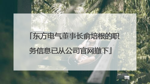 东方电气董事长俞培根的职务信息已从公司官网撤下