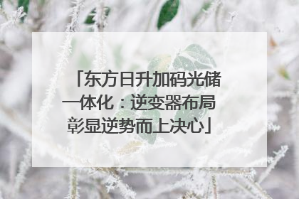 东方日升加码光储一体化：逆变器布局彰显逆势而上决心