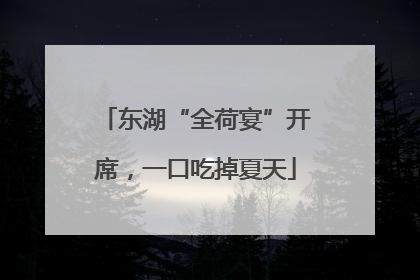 东湖“全荷宴”开席，一口吃掉夏天