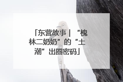 东营故事｜“槐林二奶奶”的“土潮”出圈密码