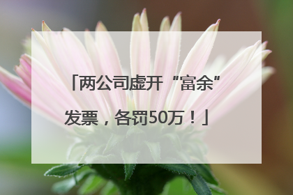 两公司虚开“富余”发票，各罚50万！