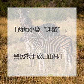 两地小鹿“迷路”，警民携手放归山林