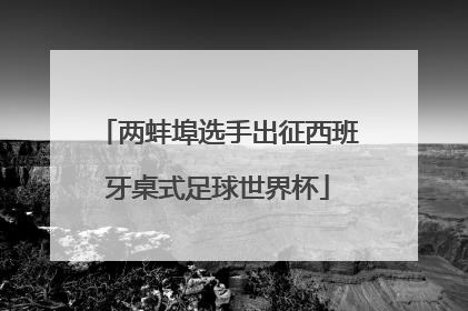两蚌埠选手出征西班牙桌式足球世界杯