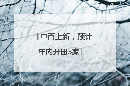 中百上新，预计年内开出5家