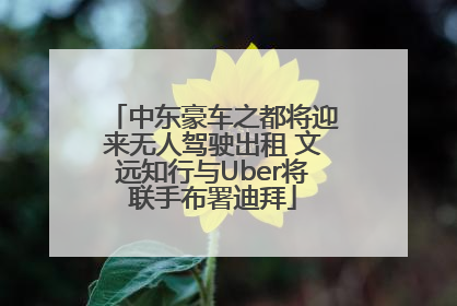 中东豪车之都将迎来无人驾驶出租 文远知行与Uber将联手布署迪拜