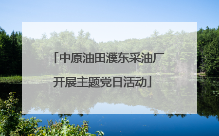 中原油田濮东采油厂开展主题党日活动