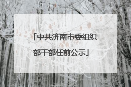 中共济南市委组织部干部任前公示