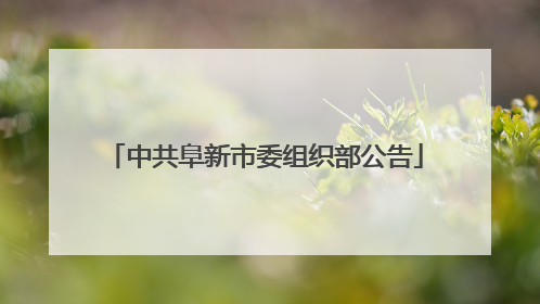 中共阜新市委组织部公告