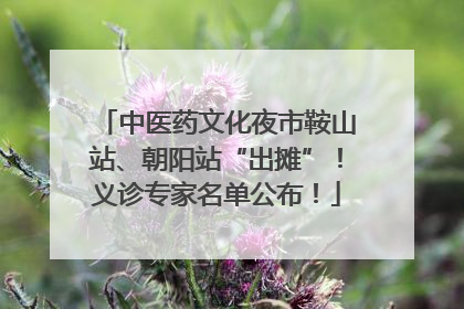 中医药文化夜市鞍山站、朝阳站“出摊”！义诊专家名单公布！