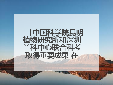 中国科学院昆明植物研究所和深圳兰科中心联合科考取得重要成果 在神农架发现两种“国保”级兰花