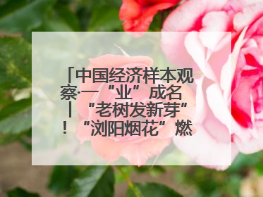 中国经济样本观察·一“业”成名丨“老树发新芽”！“浏阳烟花”燃亮世界