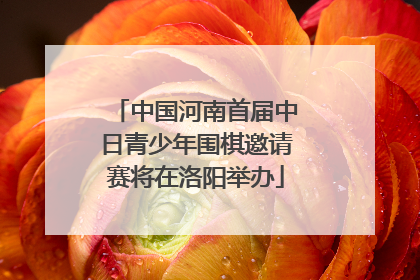 中国河南首届中日青少年围棋邀请赛将在洛阳举办