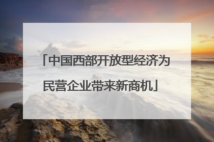 中国西部开放型经济为民营企业带来新商机