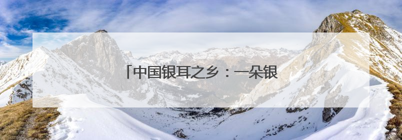 中国银耳之乡：一朵银耳“开”出无限可能