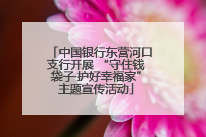 中国银行东营河口支行开展 “守住钱袋子·护好幸福家”主题宣传活动