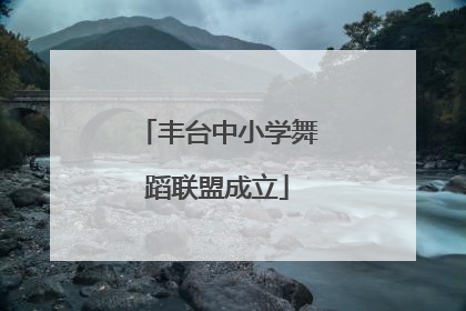 丰台中小学舞蹈联盟成立