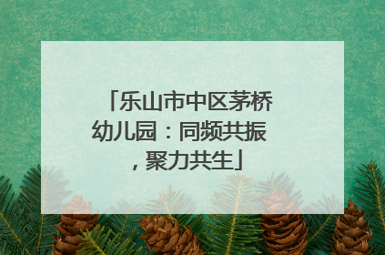 乐山市中区茅桥幼儿园：同频共振，聚力共生