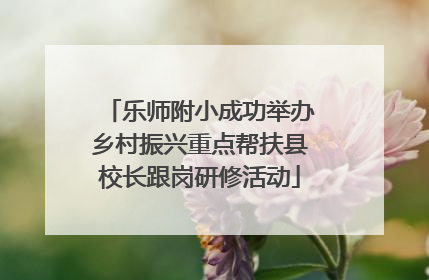 乐师附小成功举办乡村振兴重点帮扶县校长跟岗研修活动