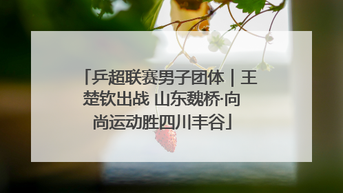 乒超联赛男子团体｜王楚钦出战 山东魏桥·向尚运动胜四川丰谷