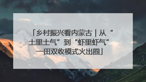 乡村振兴看内蒙古｜从“土里土气”到“虾里虾气” 一田双收模式火出圈