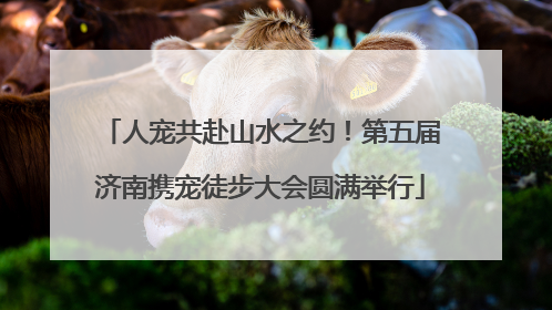 人宠共赴山水之约！第五届济南携宠徒步大会圆满举行
