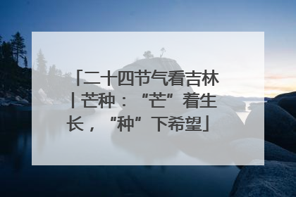 二十四节气看吉林丨芒种：“芒”着生长，“种”下希望
