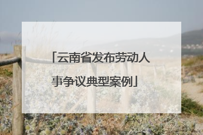 云南省发布劳动人事争议典型案例