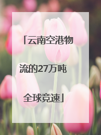 云南空港物流的27万吨全球竞速