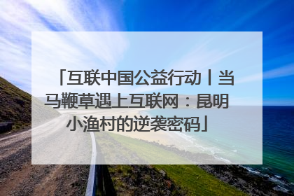 互联中国公益行动丨当马鞭草遇上互联网：昆明小渔村的逆袭密码