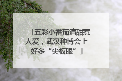 五彩小番茄清甜惹人爱，武汉种博会上好多“尖板眼”