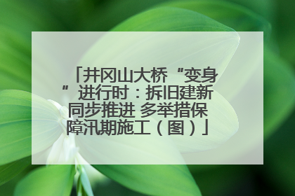 井冈山大桥“变身”进行时：拆旧建新同步推进 多举措保障汛期施工（图）