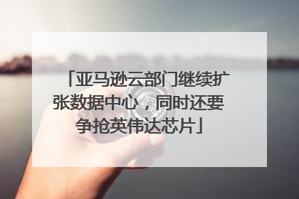 亚马逊云部门继续扩张数据中心，同时还要争抢英伟达芯片