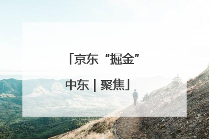 京东“掘金”中东｜聚焦