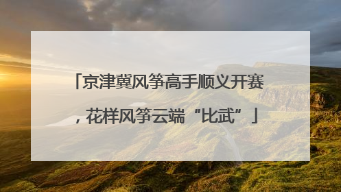 京津冀风筝高手顺义开赛，花样风筝云端“比武”