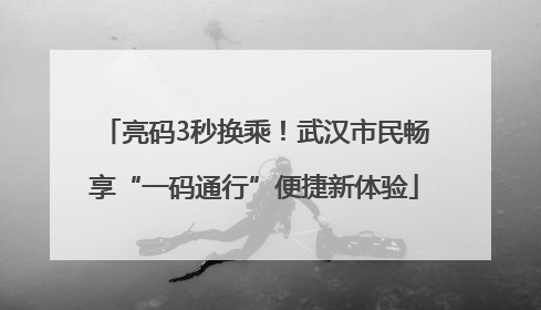 亮码3秒换乘！武汉市民畅享“一码通行”便捷新体验