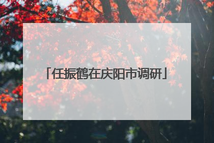 任振鹤在庆阳市调研