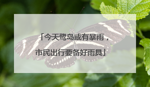 今天鹭岛或有暴雨，市民出行要备好雨具