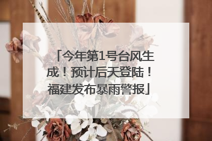 今年第1号台风生成！预计后天登陆！福建发布暴雨警报