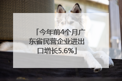 今年前4个月广东省民营企业进出口增长5.6%