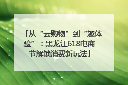 从“云购物”到“趣体验”：黑龙江618电商节解锁消费新玩法